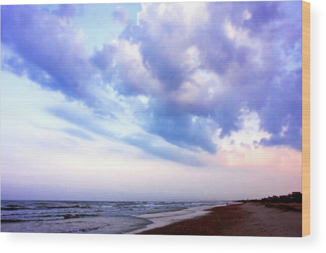 Photo Wood Print featuring the photograph Early Morning in the Dunes 3 by Alan Hausenflock