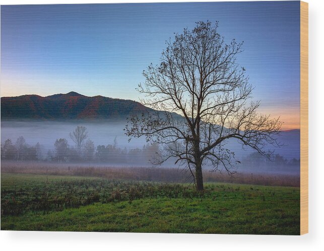 Cades Cove Wood Print featuring the photograph Early Morning Mist In Cades Cove by Rick Berk