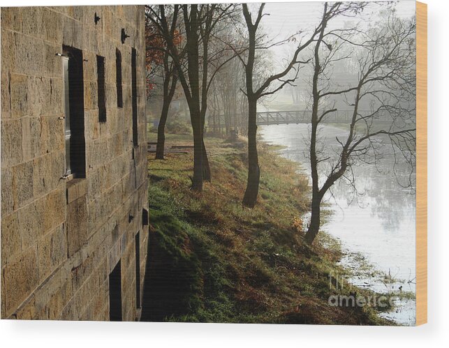  I & M Canal Wood Print featuring the photograph Early Morning Mist on The I M Canal by Paula Guttilla