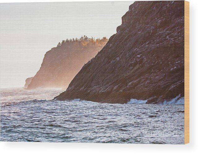 Monhegan Island Wood Print featuring the photograph Eastern Coastline by Tom Cameron