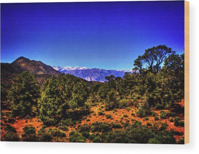 California Wood Print featuring the photograph Eastern Sierras from the White Mountains by Roger Passman