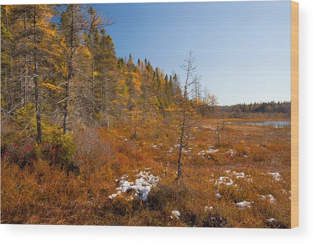 Kelly River Wilderness Wood Print featuring the photograph Edge Of November by Irwin Barrett
