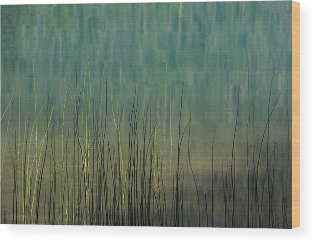 Lake Wood Print featuring the photograph Edge of the Lake - 365-262 by Inge Riis McDonald