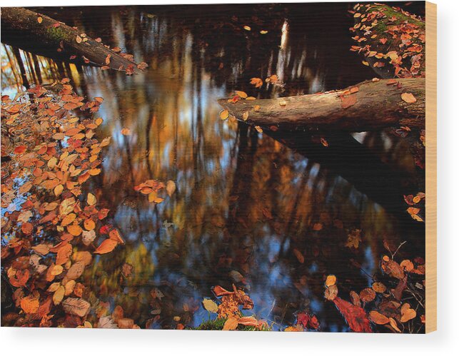 River Scene Wood Print featuring the photograph Edge Of Wishes by Mike Eingle