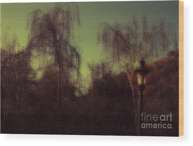 Clay Wood Print featuring the photograph Eery Park by Clayton Bruster