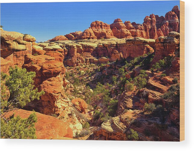 The Needles Wood Print featuring the photograph Elephant Canyon by Greg Norrell