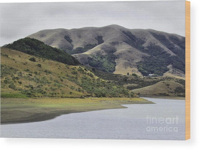 Landscape Wood Print featuring the photograph Elephant Hill by Joyce Creswell