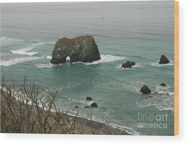 Ocean Wood Print featuring the photograph Elephant rock by Sheila Ping