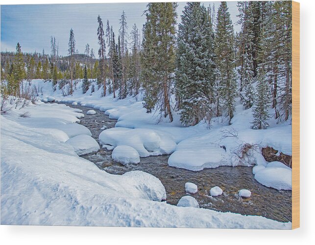 Mountain Wood Print featuring the photograph Elk RIver by Sean Allen