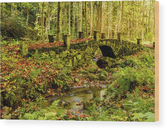 Great Smoky Mountains Wood Print featuring the photograph Elkmount Troll Bridge in the Smokie Mountains by Teri Virbickis