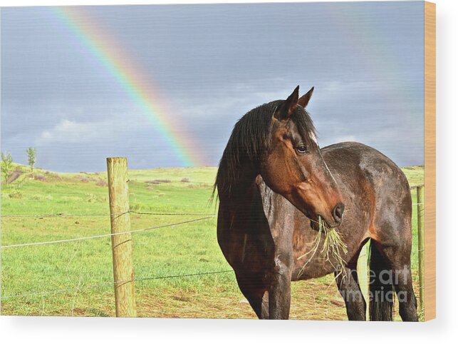 Horse Wood Print featuring the photograph Ella and the Rainbows by Cindy Schneider