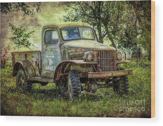 Truck Wood Print featuring the photograph Ellens Premium Goats by Lynn Sprowl