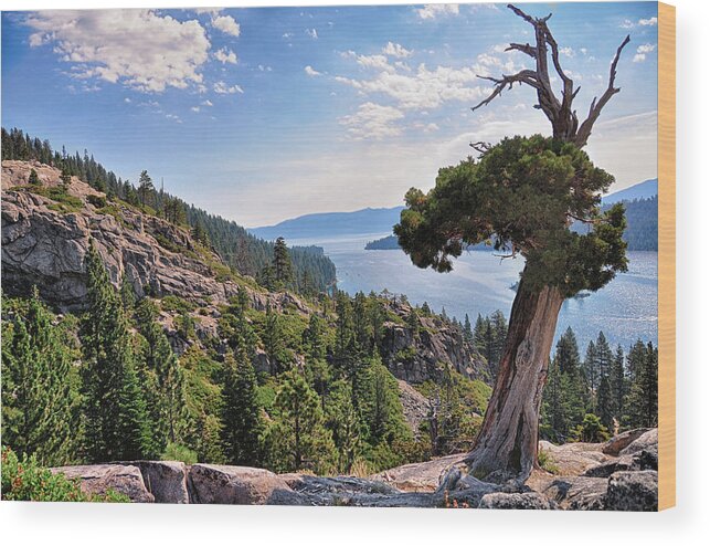 Emerald Bay Wood Print featuring the photograph Emerald Bay III - Lake Tahoe - California by Bruce Friedman