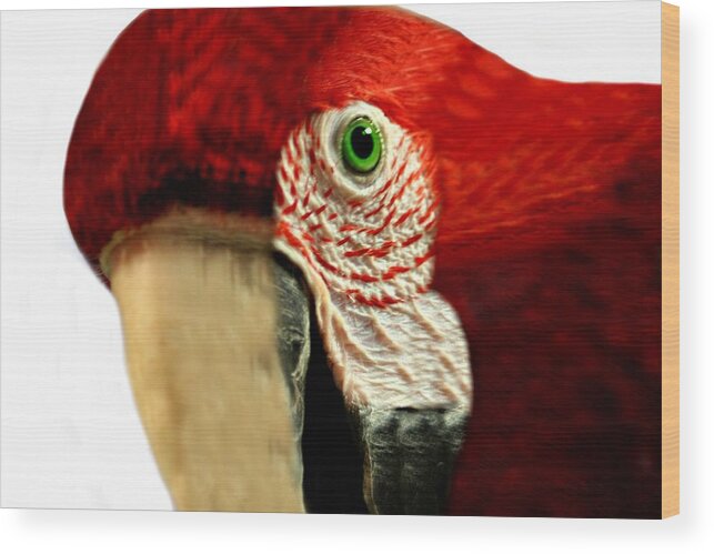 Macro Wood Print featuring the photograph Emerald Eye by Barbara S Nickerson