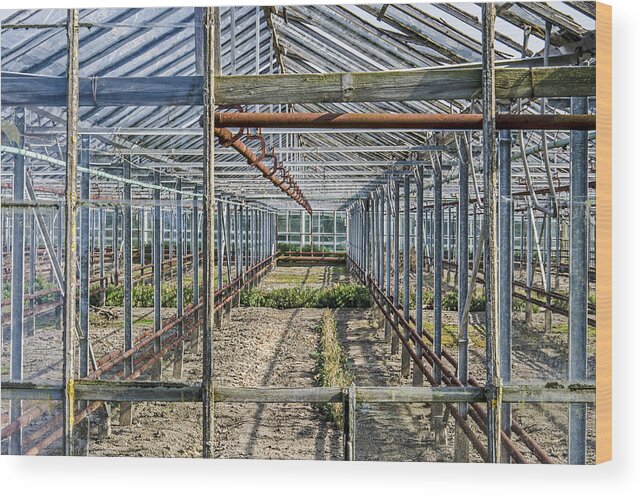 Greenhouse Wood Print featuring the photograph Empty Greenhouse by Frans Blok