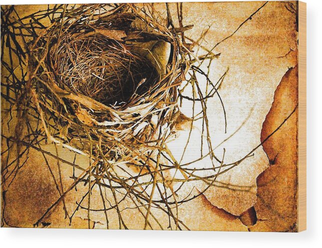 Still Life Wood Print featuring the photograph Empty Nest by Jan Amiss Photography