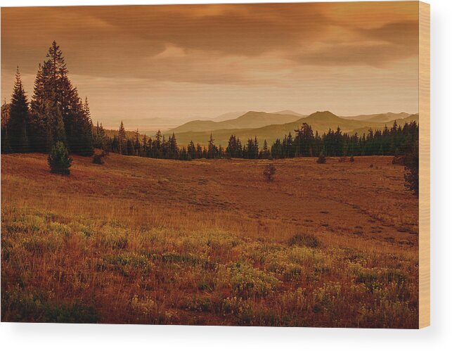 Mountains Wood Print featuring the photograph End Of Day by Frank Wilson