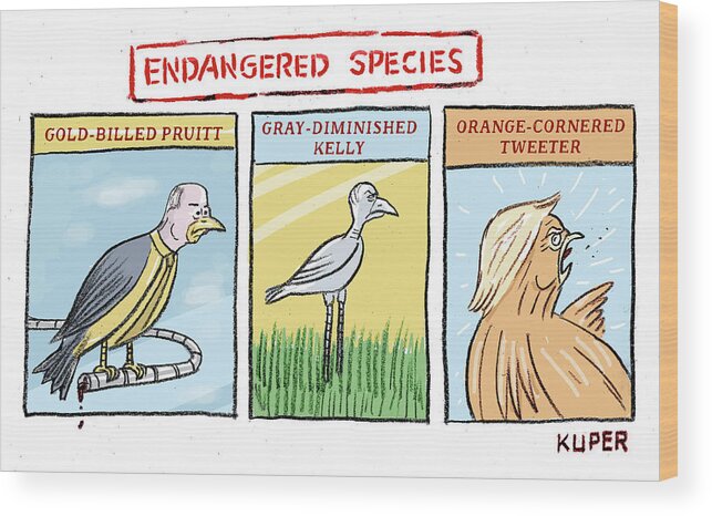 Endangered Species Wood Print featuring the drawing Endangered Species by Peter Kuper