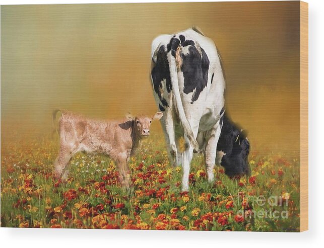 Cow Wood Print featuring the photograph Enjoying the Sun by Eva Lechner