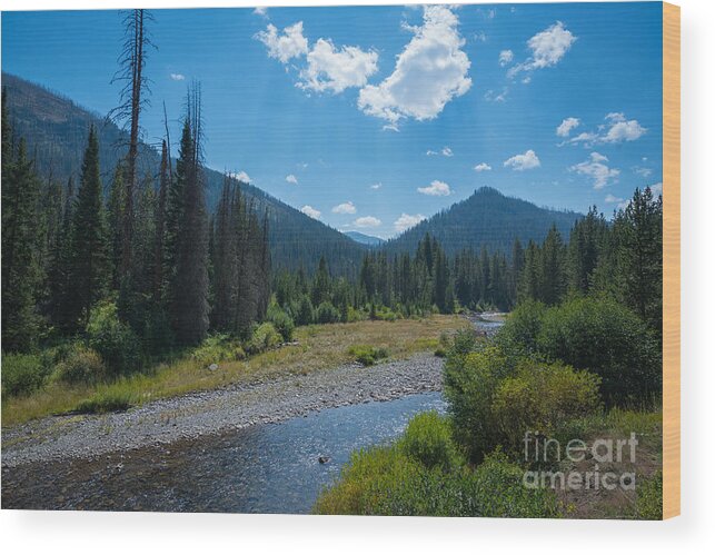 Yellowstone National Park Wood Print featuring the photograph Entering Yellowstone National Park by Michael Ver Sprill