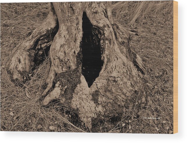 Farmboyzim Wood Print featuring the photograph Entrance to... by Harold Zimmer