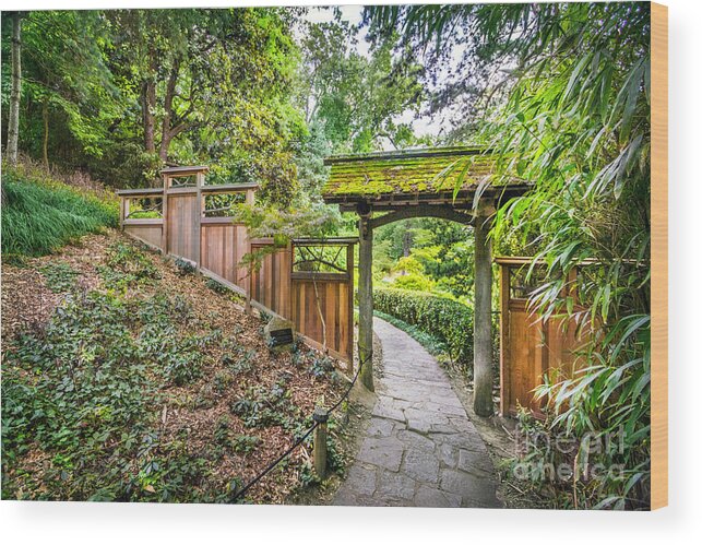 Entrance To Japanese Garden Maymont Park Virginia Bamboo Pathway Garden Trellis Archway Fence Gate Path Wood Print featuring the photograph Entrance to Japanese Garden Maymont by Karen Jorstad