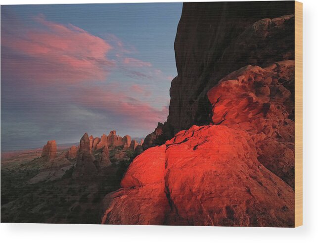 Rock Wood Print featuring the photograph Erocktic by Jerry LoFaro