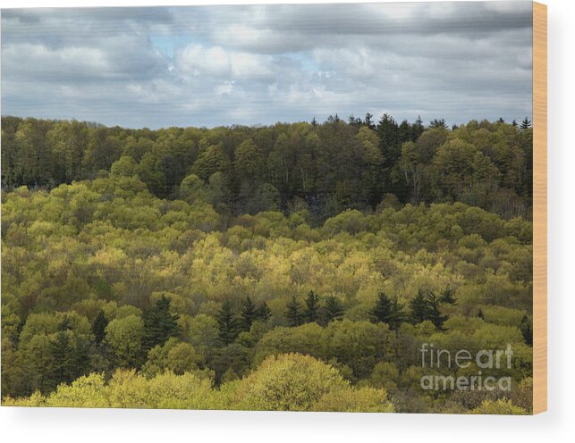 Landscape Wood Print featuring the photograph Escarpment Spring 2 by Kathi Shotwell
