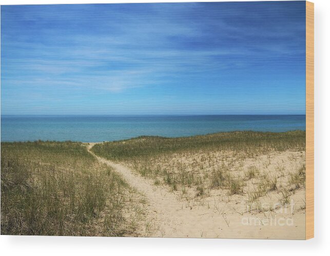 Esch Beach Wood Print featuring the photograph Esch Beach by Rachel Cohen