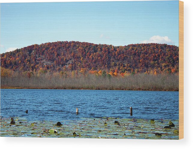 Autumn Wood Print featuring the photograph Esopus Lake in Autumn by Jeff Severson