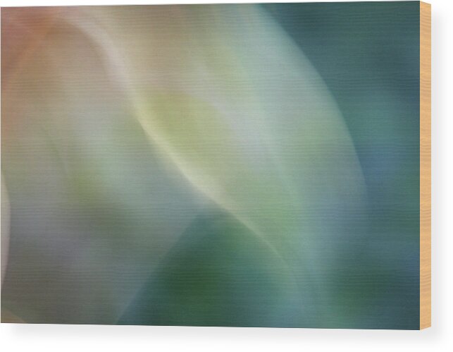 Flowers Wood Print featuring the photograph Ethereal by Margaret Denny