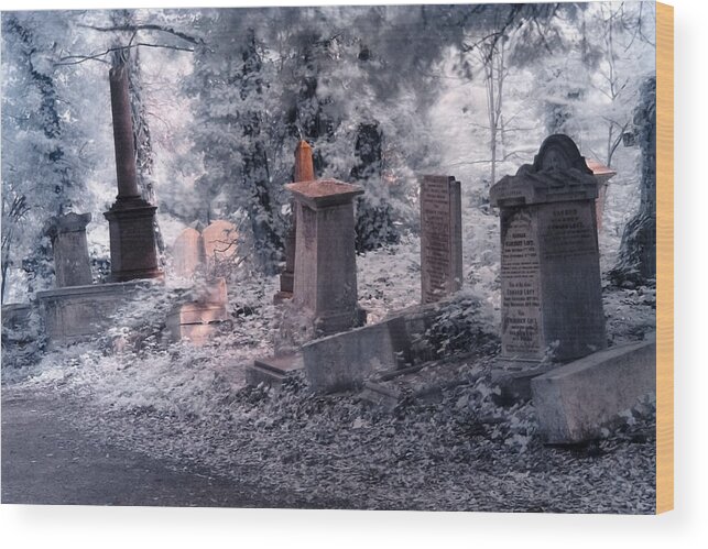 Abney Park Wood Print featuring the photograph Ethereal walk by Helga Novelli