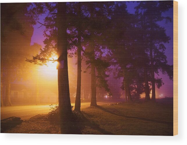Fog Wood Print featuring the photograph Ettiene's Dawn One by Julius Reque