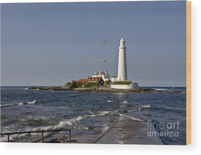 Lighthouse Wood Print featuring the photograph Evening at St. Mary's Lighthouse by Elena Perelman