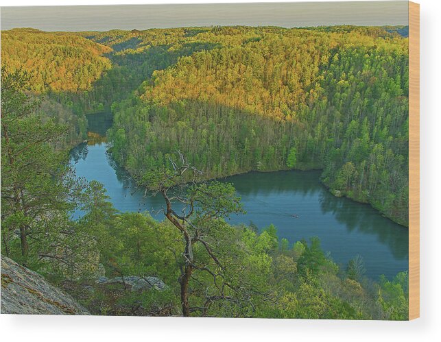 Mill Creek Lake Wood Print featuring the photograph Evening light in the hills. by Ulrich Burkhalter