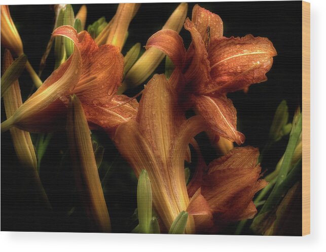 Lilies Wood Print featuring the photograph Evening Lilies by Mike Eingle