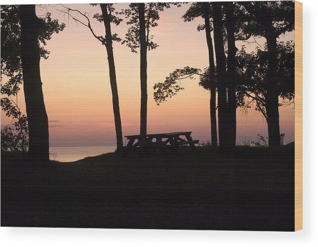 Landscape Wood Print featuring the photograph Evening Picnic by Michael Peychich