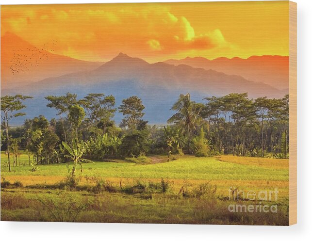 Mountains Wood Print featuring the photograph Evening Scene by Charuhas Images
