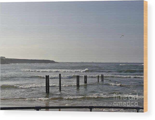 Waves Wood Print featuring the photograph Evening Seascape. by Elena Perelman