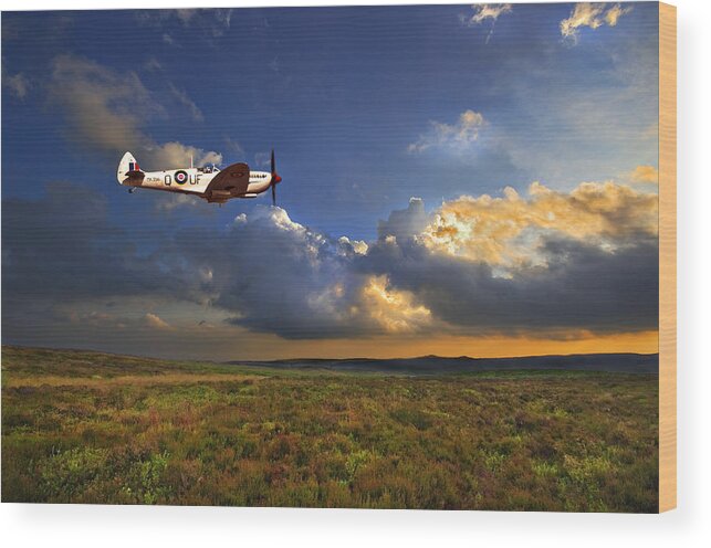 Spitfire Wood Print featuring the photograph Evening Spitfire by Meirion Matthias