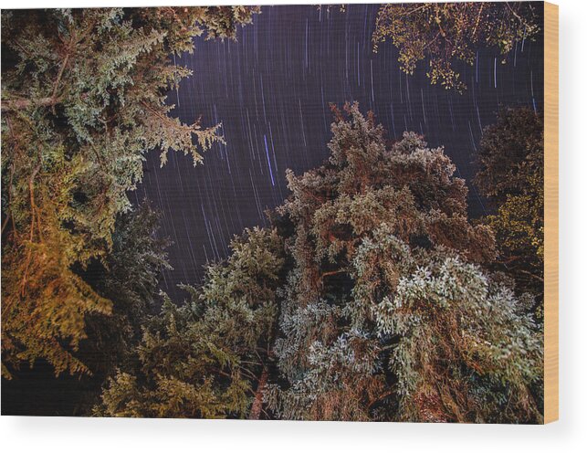 Star Trail Wood Print featuring the photograph Evergreen Trees Star Trails by Pelo Blanco Photo
