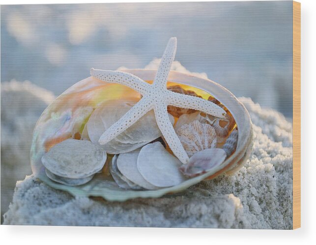 Seashells Wood Print featuring the photograph Every Grain of Sand by Melanie Moraga