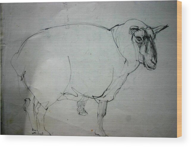 Sheep Farm Animals Wood Print featuring the drawing ewe by Tom Smith