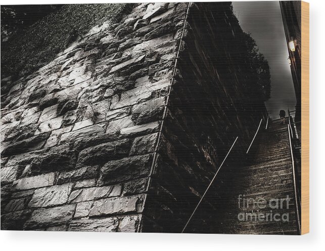 Exorcist Wood Print featuring the photograph Exorcist Steps by Jonas Luis