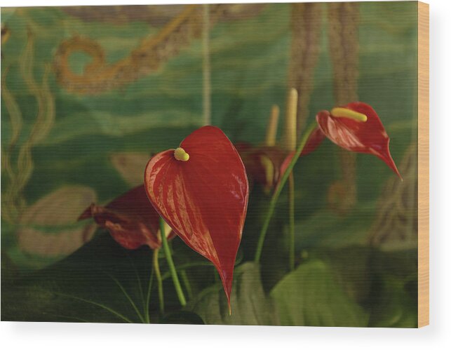 Exotic Anthurium Wood Print featuring the photograph Exotic Tropical Dream Garden - Hot Red Hearts and Sea Creatures by Georgia Mizuleva
