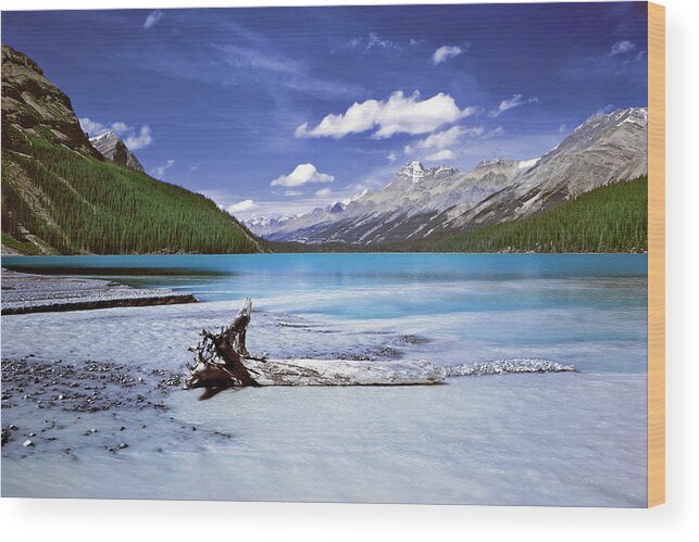 Landscapes Wood Print featuring the photograph Exterior Decorations by The Walkers