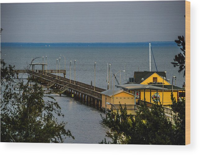 Pier Wood Print featuring the photograph Fairhope Pier from Overlook by Michael Thomas