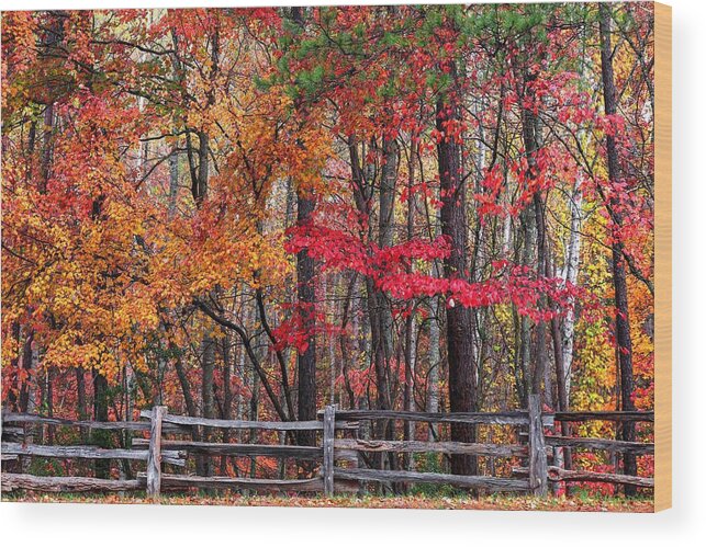 Blue Ridge Parkway Wood Print featuring the photograph Fall And The Wood Fence by Carol Montoya