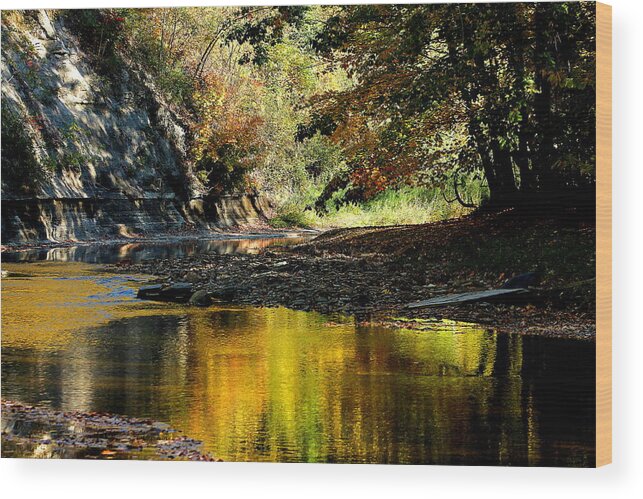 Autumn; Landscape; Creek; Autumn; Big Creek; Liberty Hollow; Ohio; Reflection; Wood Print featuring the photograph Fall at Big Creek by Bruce Patrick Smith