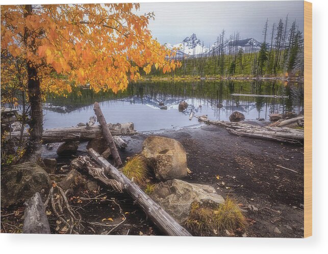 Reflection Wood Print featuring the photograph Fall at Round Lake by Cat Connor